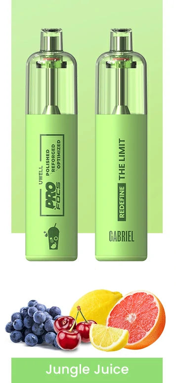 U-WELL GABRIEL FREEDOM CHARGABLE 6000 PFs DEVICE.