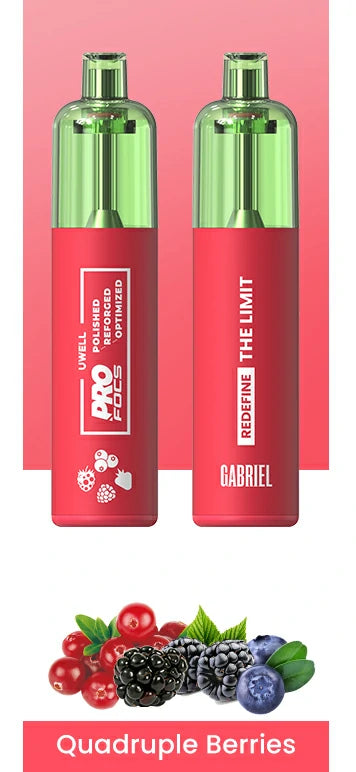 U-WELL GABRIEL FREEDOM CHARGABLE 6000 PFs DEVICE.