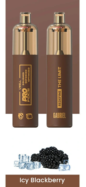 U-WELL GABRIEL FREEDOM CHARGABLE 6000 PFs DEVICE.